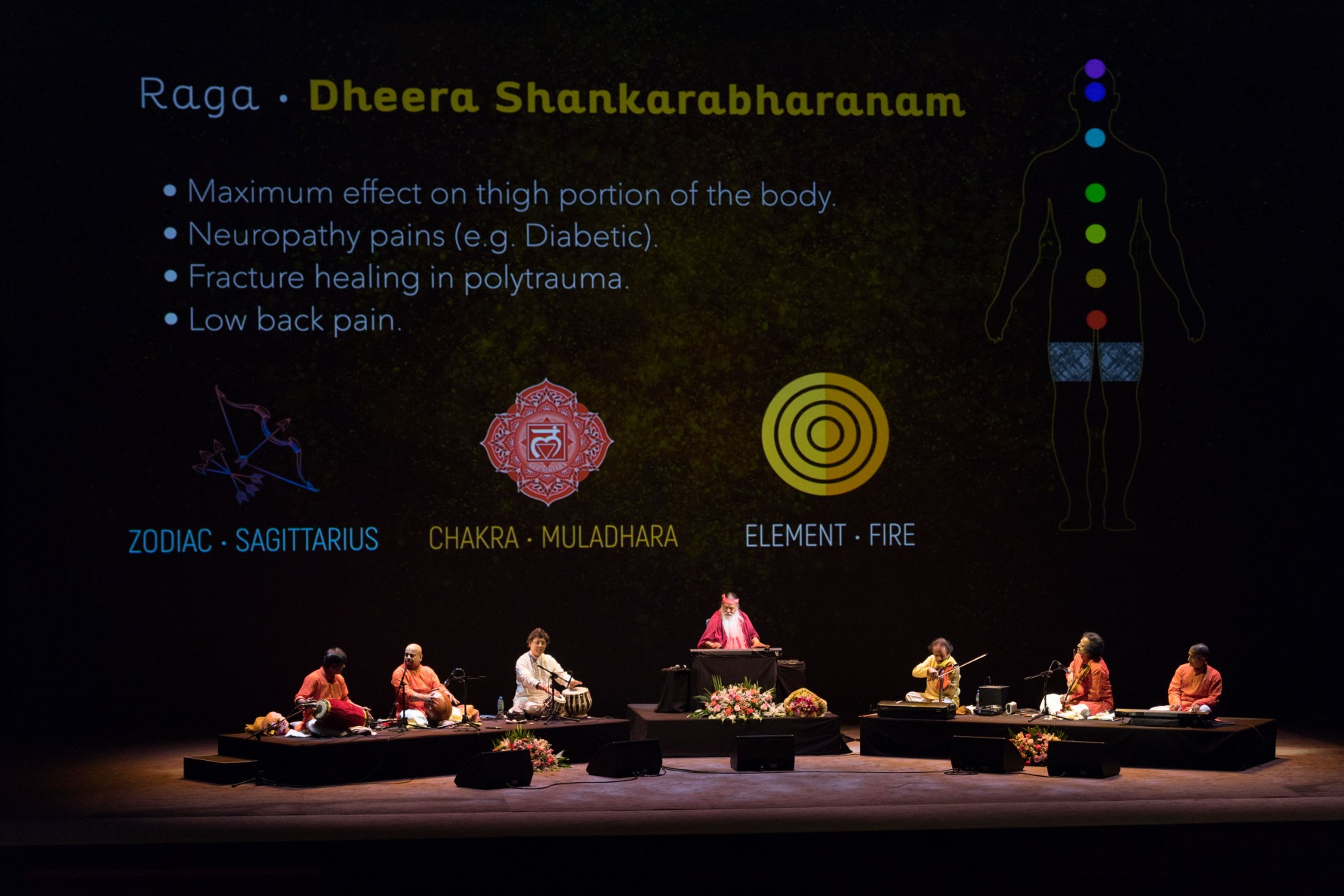 Healing Music Experience — Raga Dheera Shankarabharanam displayed on screen